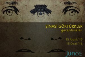 Şinasi Göktürkler 