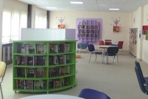 Yeni nesil z-kütüphane sayısında büyük artış.