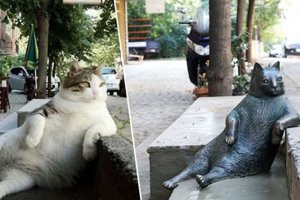 Tombili'nin heykeli açıldı