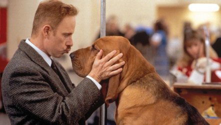 Pera Film’den Beyaz Perdeye Yansıyan Köpek Hikayeleri