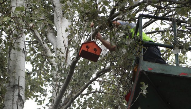 İstanbul Şehir Tiyatroları Dekorları Kuş Evlerine Dönüşüyor