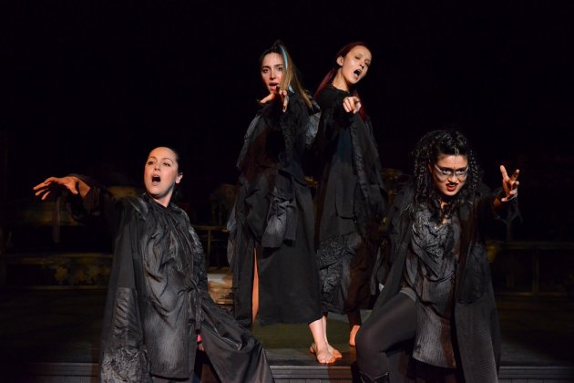 Kadınlar, Filler Ve Saireler