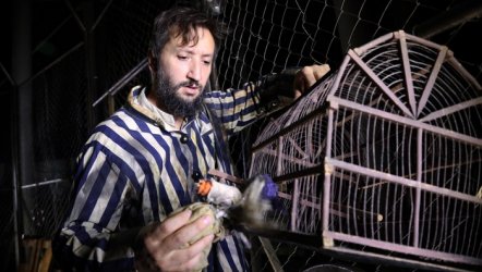 İstanbul Şehir Tiyatrolarında Bu Hafta (21-26 Ocak 2026)