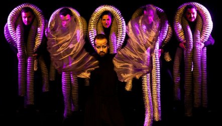 Filler Ve Karıncalar