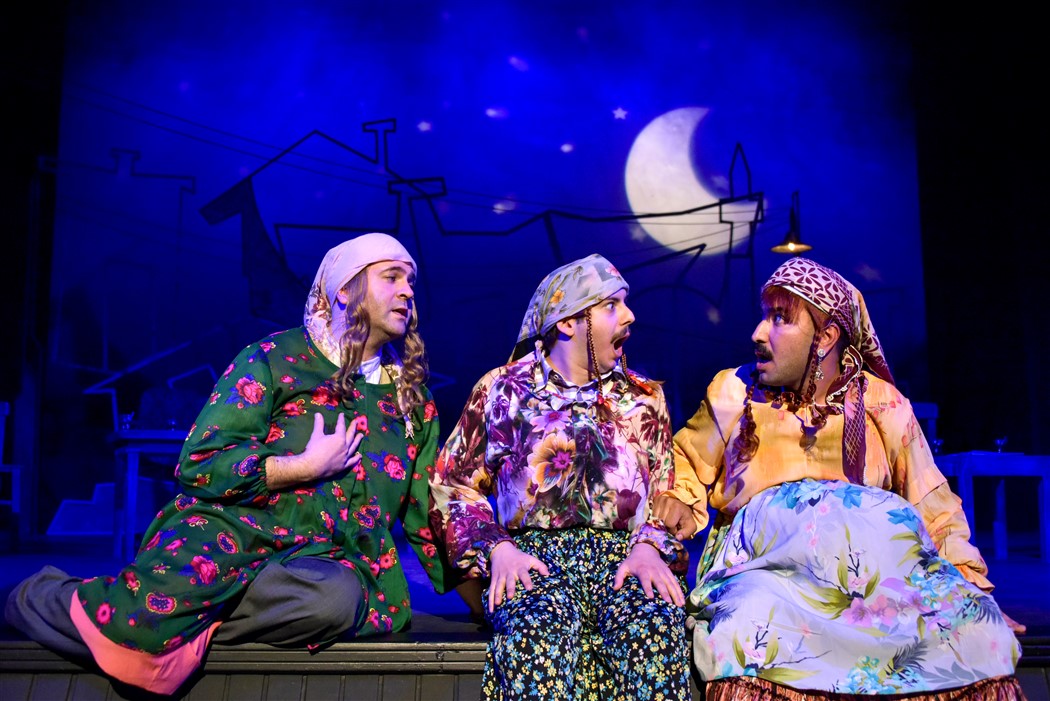 Komşu Köyün Delisi - Ankara Devlet Tiyatrosu